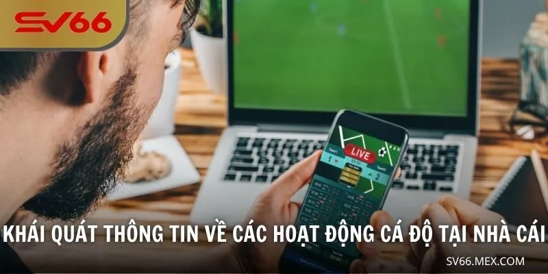 Khái quát thông tin về các hoạt động cá độ tại nhà cái